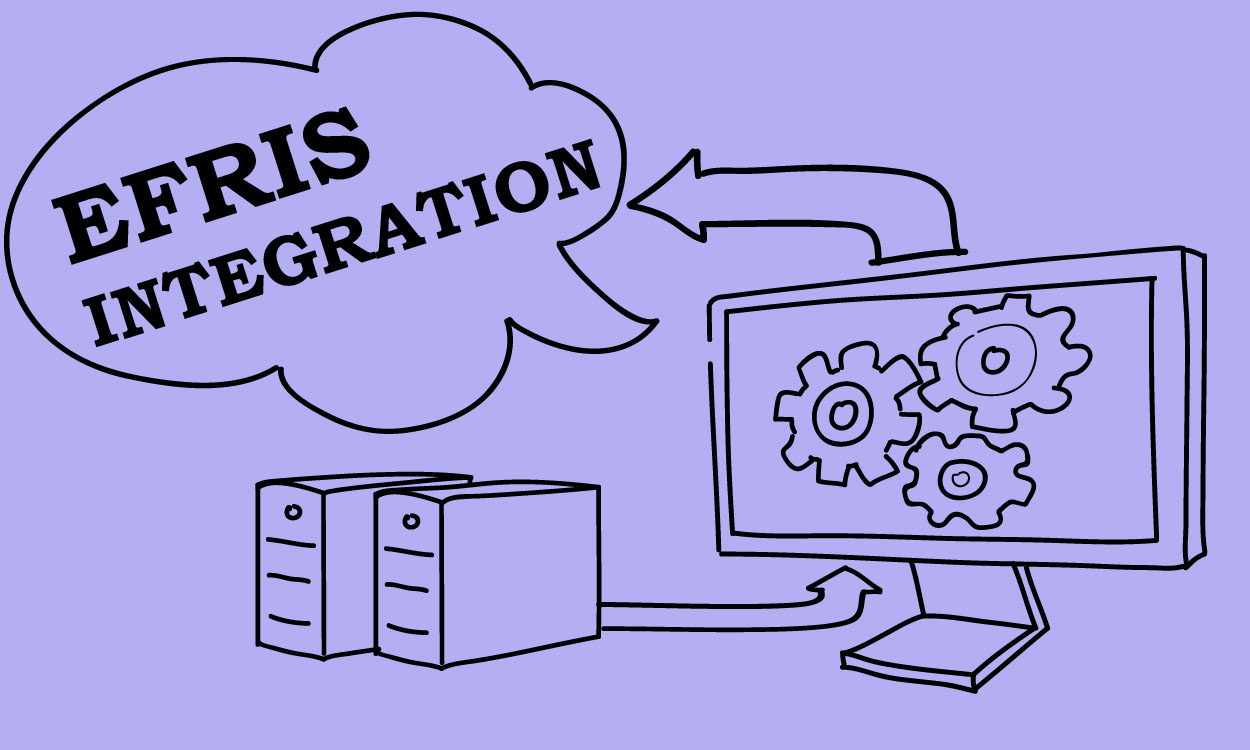 Efris Integration