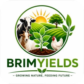 BrimYields